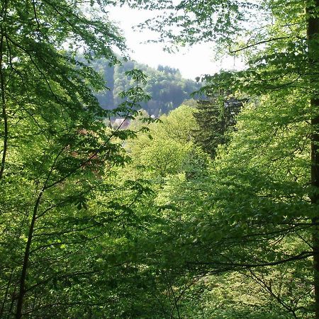 Pension/Bed And Breakfast Pangea Bad Lauterberg Exterior foto