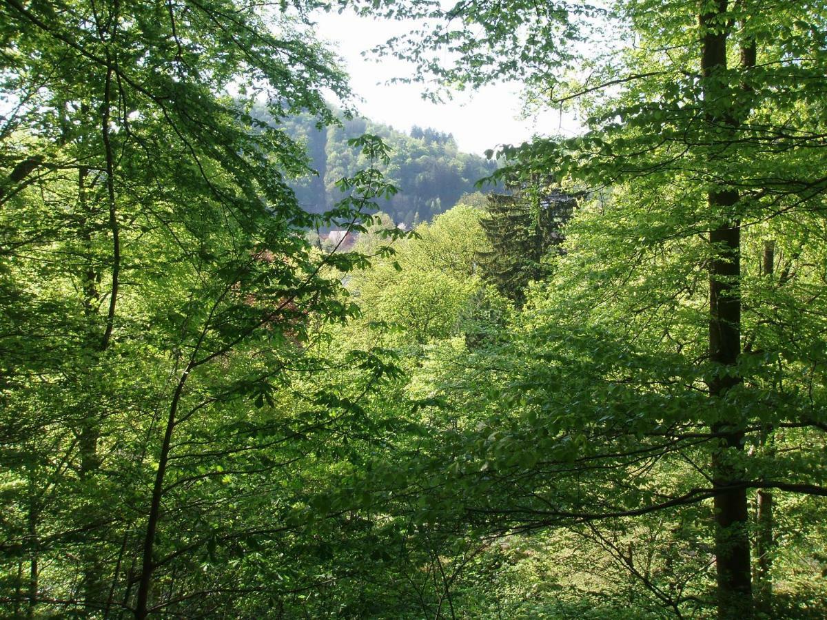 Pension/Bed And Breakfast Pangea Bad Lauterberg Exterior foto