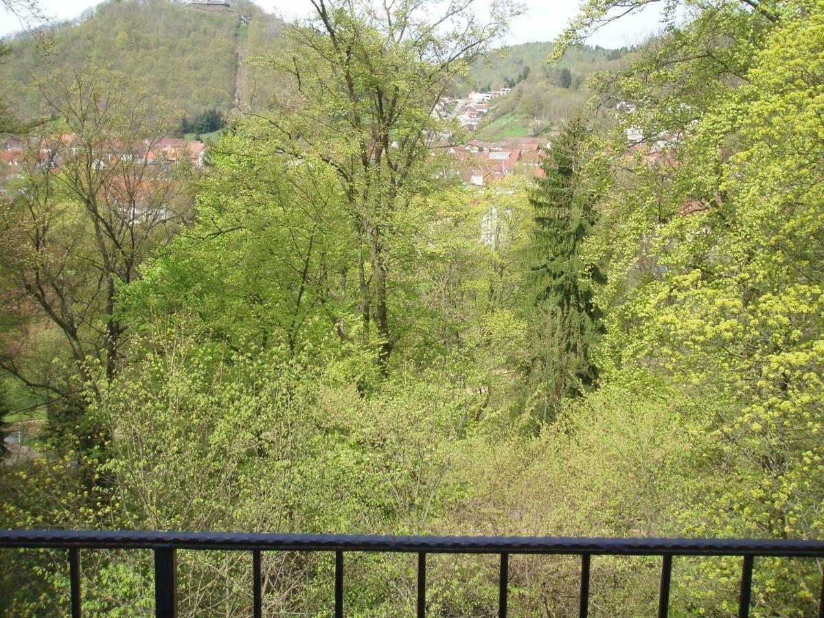 Pension/Bed And Breakfast Pangea Bad Lauterberg Exterior foto